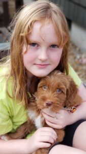 A child holding a Valley Vineyard puppy