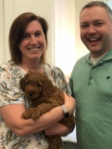 Oregon labradoodles puppies